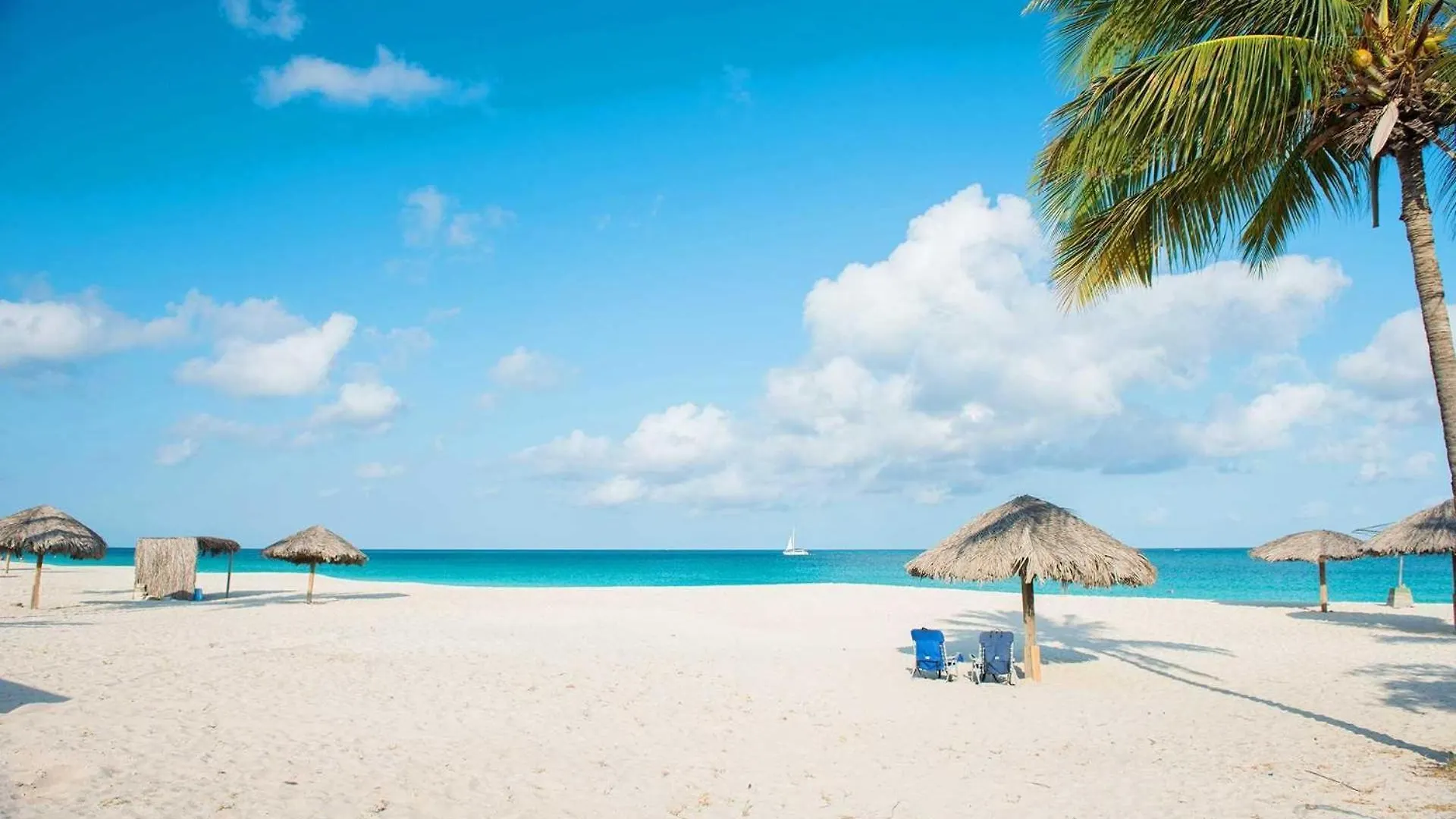 Beachfront - Grand Regency 5Br Condo - Bg131 팜비치